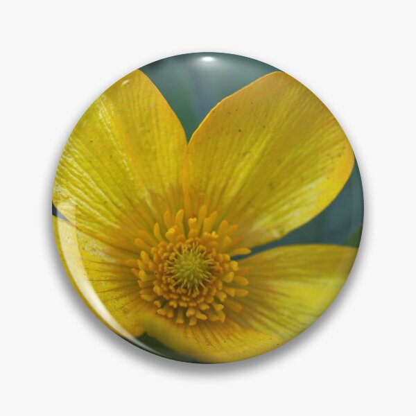Item preview, Ranunculus lappaceus designed and sold by andrachne.