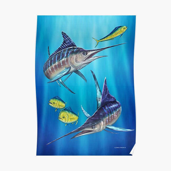 Double Trouble - Striped Marlin & Mahi Mahi Poster
