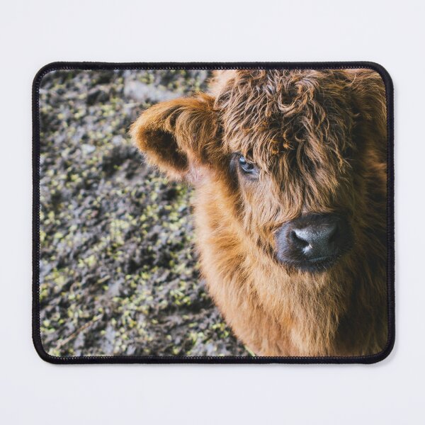 Item preview, Highland Calf Portrait designed and sold by SofiaAlves.
