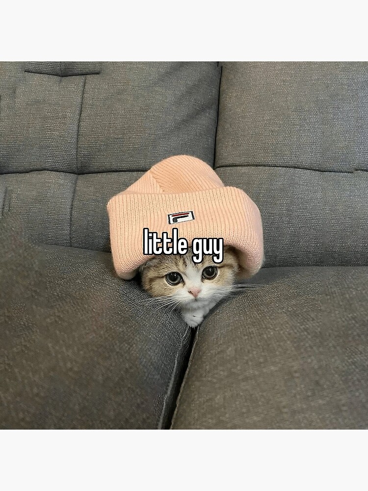 chad cat in 2023  Cat memes, Cat aesthetic, Cute little animals