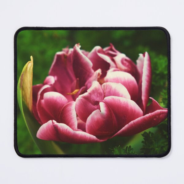 Item preview, The Fold designed and sold by Melanie Uadjit.