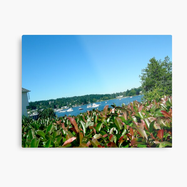 Lining the Sound Metal Print