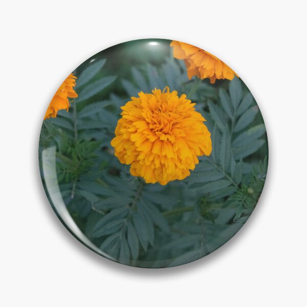Artikelvorschau, Leuchtend orangefarbene Blüten entworfen und verkauft von jannelserrano.