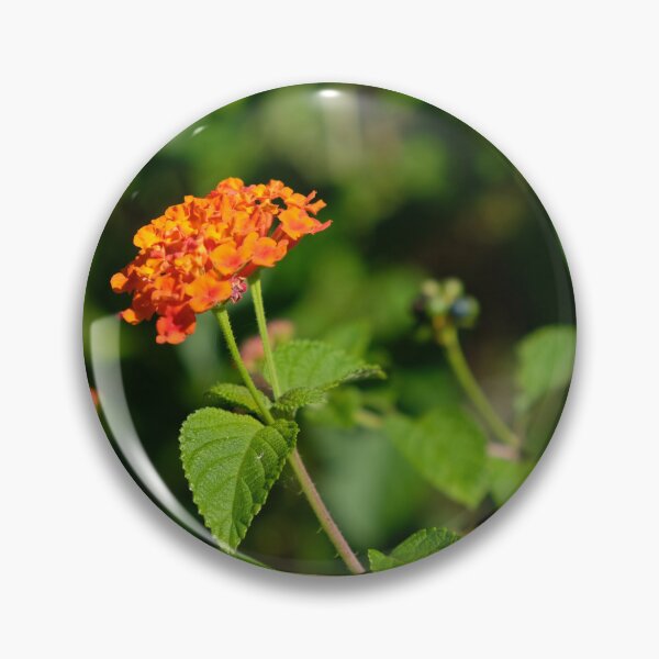 Artikelvorschau, Leuchtend orangefarbene Blüten entworfen und verkauft von jannelserrano.