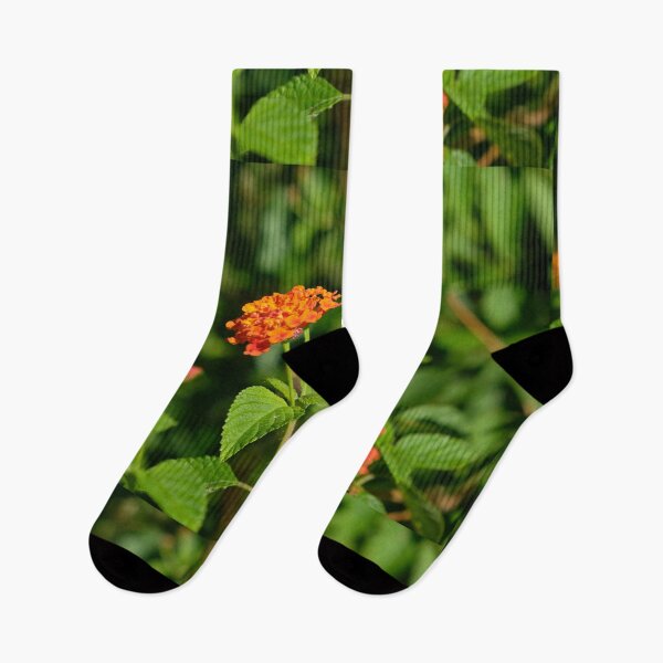 Artikelvorschau, Leuchtend orangefarbene Blüten entworfen und verkauft von jannelserrano.