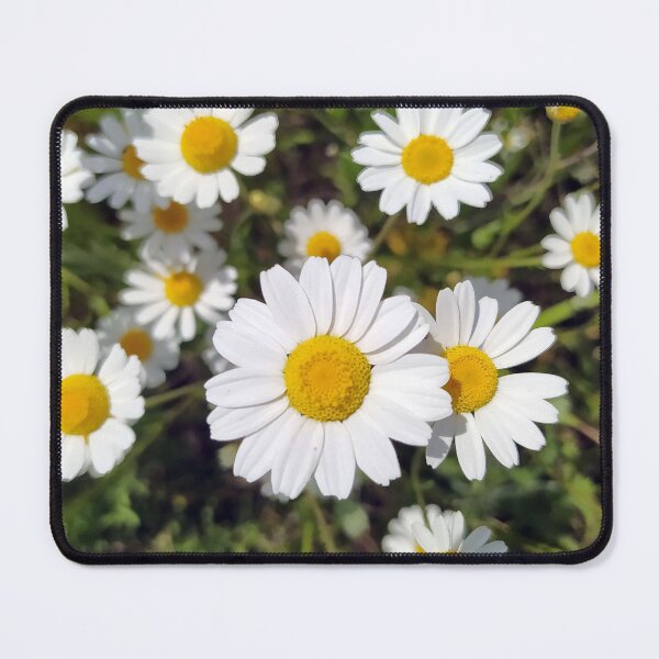 Item preview, Daisy designed and sold by PressTees.
