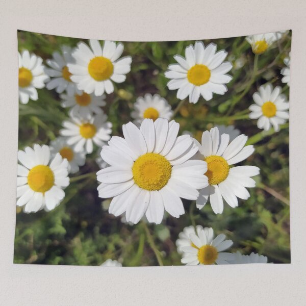 Item preview, Daisy designed and sold by PressTees.