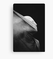 poet's soul Canvas Print