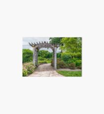 A Walk Through the Garden Art Board