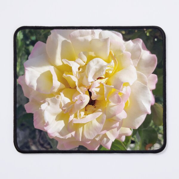 Item preview, Colorful Rose designed and sold by PressTees.