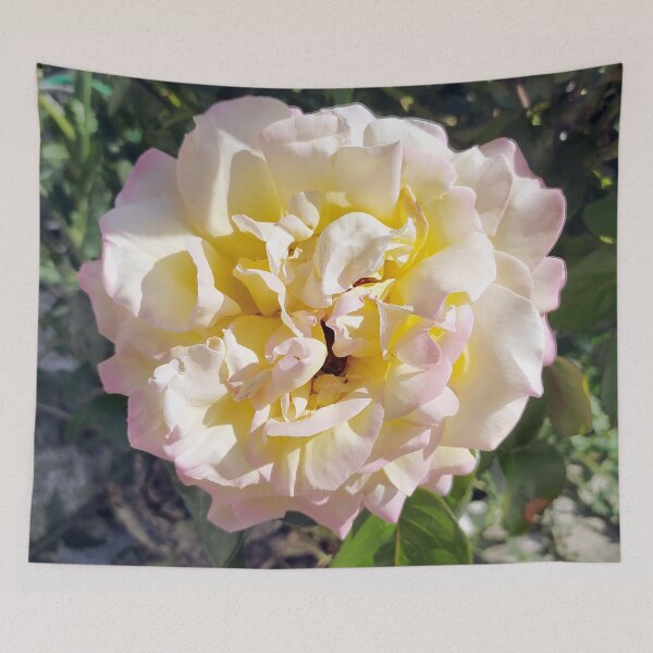 Item preview, Colorful Rose designed and sold by PressTees.