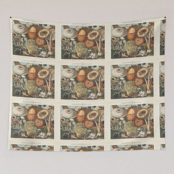 Aperçu de l'œuvre Species of fungi vintage créée et vendue par Vintage Designs +.