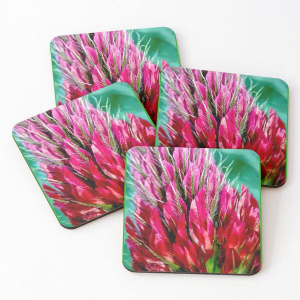 Item preview, Red clover or Trifolium pratense macro. designed and sold by elGatCendrer.