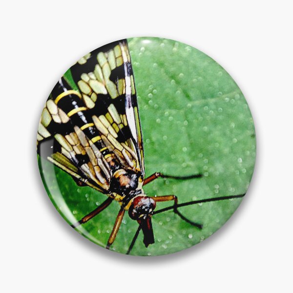 Item preview, Scorpion fly or Mecoptera macro. designed and sold by elGatCendrer.