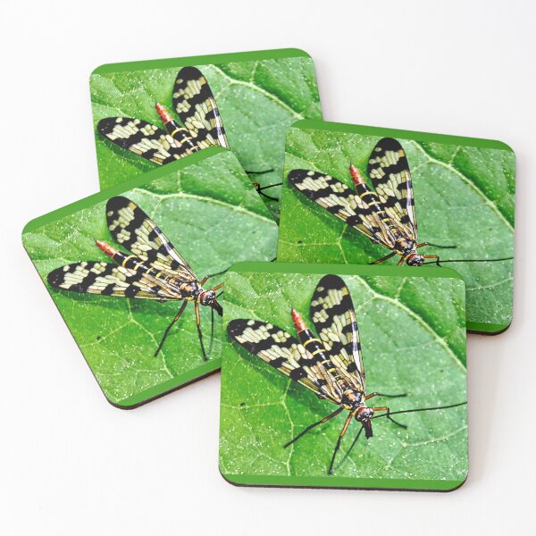 Item preview, Scorpion fly or Mecoptera macro. designed and sold by elGatCendrer.