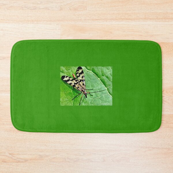 Item preview, Scorpion fly or Mecoptera macro. designed and sold by elGatCendrer.