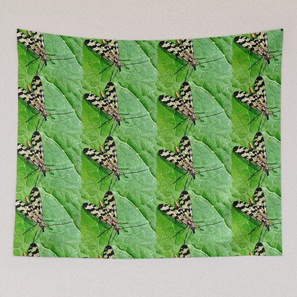 Item preview, Scorpion fly or Mecoptera macro. designed and sold by elGatCendrer.