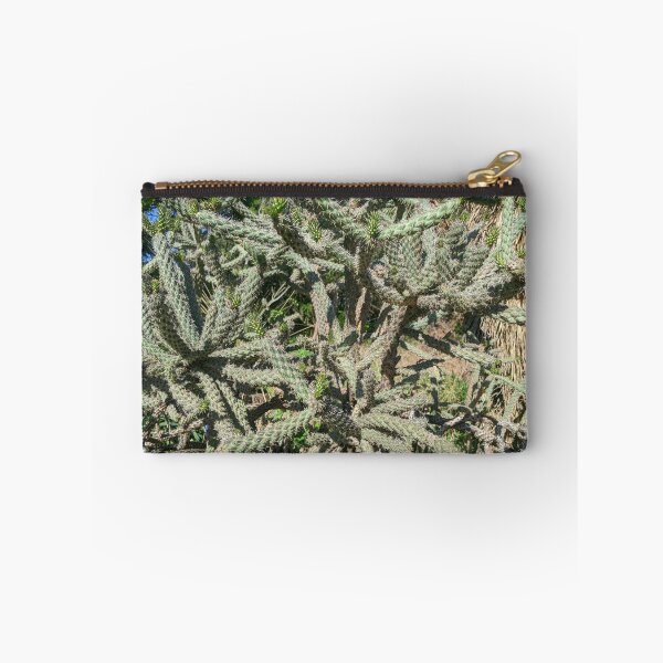 Item preview, Cactus Cylindropuntia Acanthocarpa designed and sold by Shapes-Mania.
