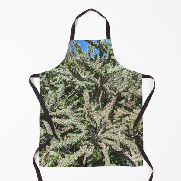 Item preview, Cactus Cylindropuntia Acanthocarpa designed and sold by Shapes-Mania.