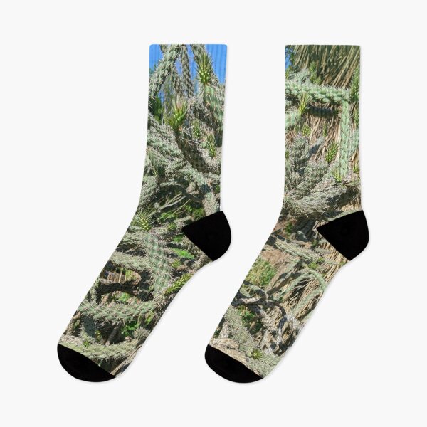 Item preview, Cactus Cylindropuntia Acanthocarpa designed and sold by Shapes-Mania.