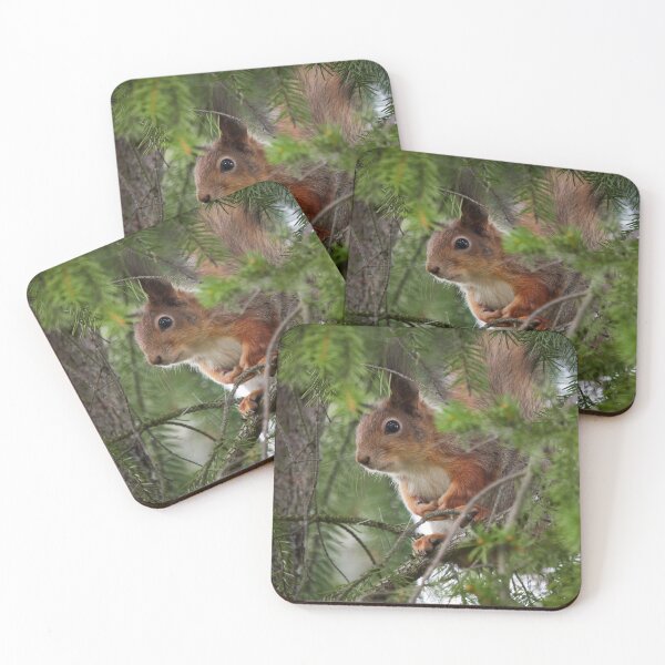 Item preview, You can't see me you know. Red squirrel designed and sold by Jouko Lehto Photography.
