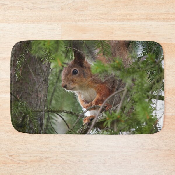Item preview, You can't see me you know. Red squirrel designed and sold by Jouko Lehto Photography.