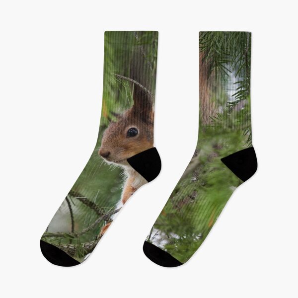 Item preview, You can't see me you know. Red squirrel designed and sold by Jouko Lehto Photography.