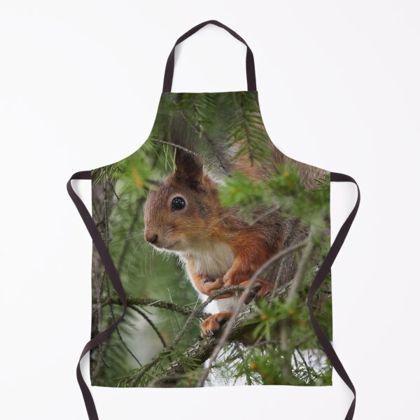 Item preview, You can't see me you know. Red squirrel designed and sold by Jouko Lehto Photography.