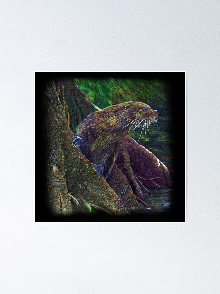 Thumbnail 1 of 3, Poster, Otter designed and sold by TJDraws.