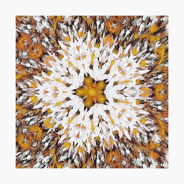 Item preview, Crocus Kaleidoscope Mosaic Star designed and sold by SunshineWalker.