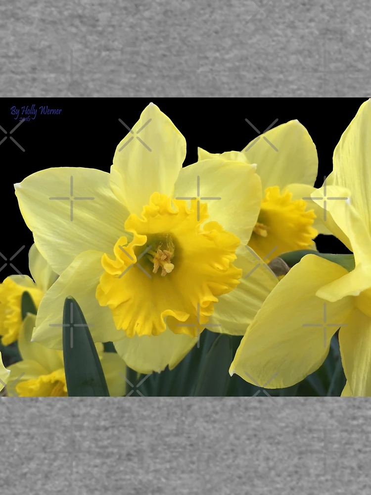 Thumbnail 6 of 6, Lightweight Sweatshirt, Spring designed and sold by Holly Werner.