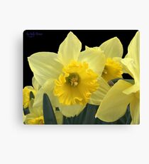Spring Canvas Print