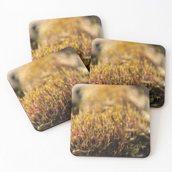 Item preview, Moss with Spore Capsules designed and sold by Calidris Fotografie Steffi & Ben Köppler.