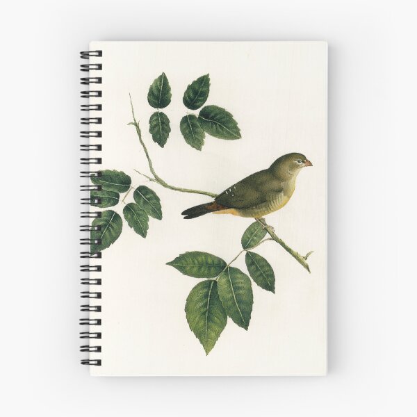 Item preview, Painting of a Bird by Kamal-ol-molk designed and sold by Amanda1775.