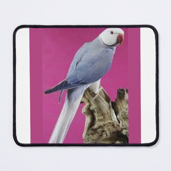 Item preview, Gray Parrot designed and sold by FloranceR.