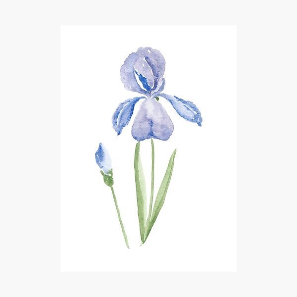 Vista previa del artículo con la obra «Iris o amor», diseñado y vendido por SharonRoseR.