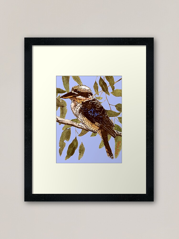 Kookaburra Framed Art Print For Sale By Printsisters Redbubble