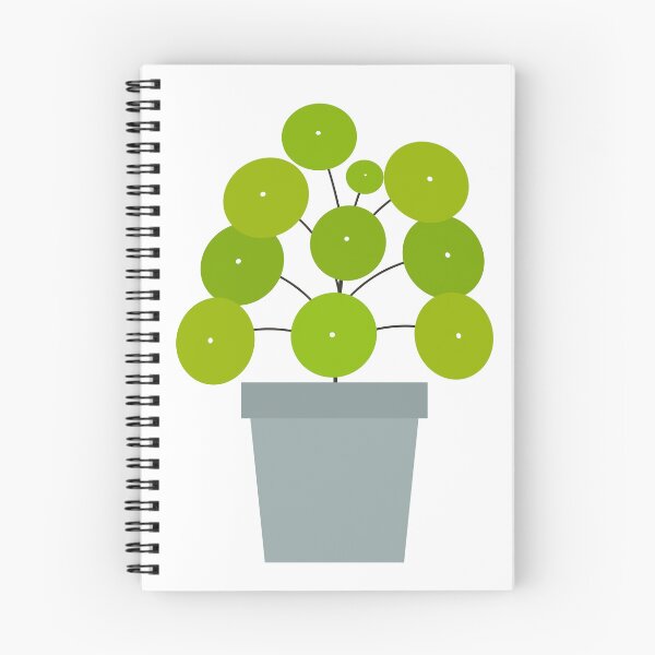 Item preview, Pilea peperomioides potted plant designed and sold by StudioBarcelona.