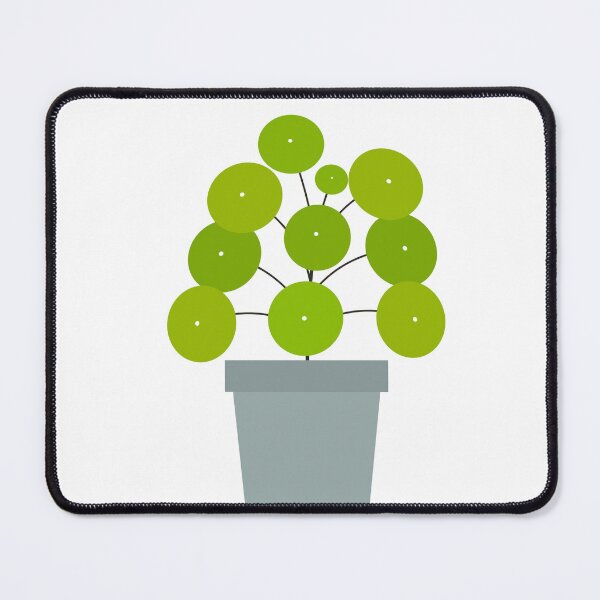 Item preview, Pilea peperomioides potted plant designed and sold by StudioBarcelona.