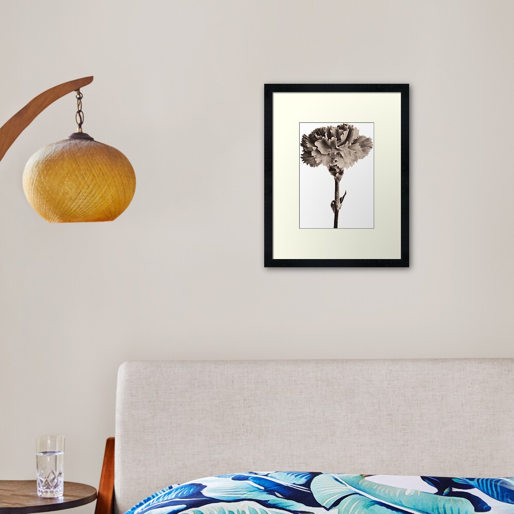 Antique Carnation Framed Art Print