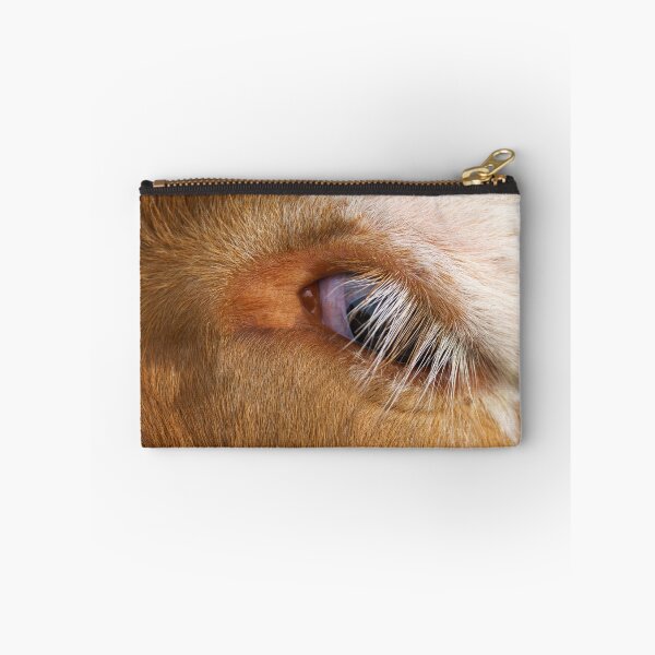 Item preview, Highland Cow's Eye designed and sold by rawshutterbug.
