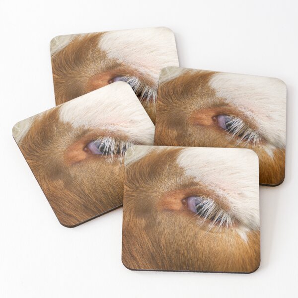 Item preview, Highland Cow's Eye designed and sold by rawshutterbug.
