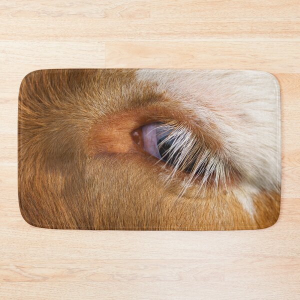 Item preview, Highland Cow's Eye designed and sold by rawshutterbug.