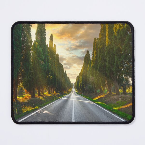 Item preview, Bolgheri cypresses boulevard. Maremma, Tuscany designed and sold by Stefano Orazzini.