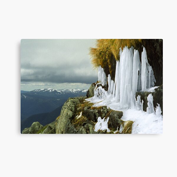 Icicles - Lady Northcotes Canyon Canvas Print