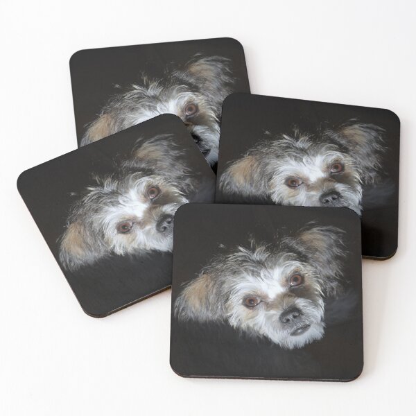Item preview, Scrappy designed and sold by Savannah Gibbs.