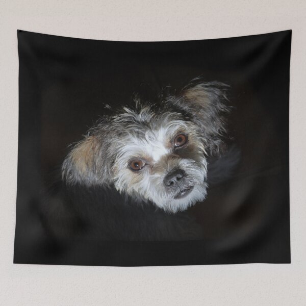 Item preview, Scrappy designed and sold by Savannah Gibbs.