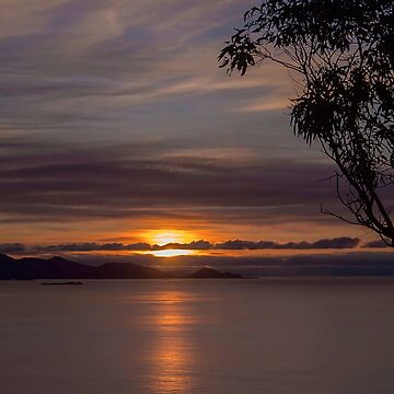 Artwork thumbnail, Island Paradise by Elysian Photography