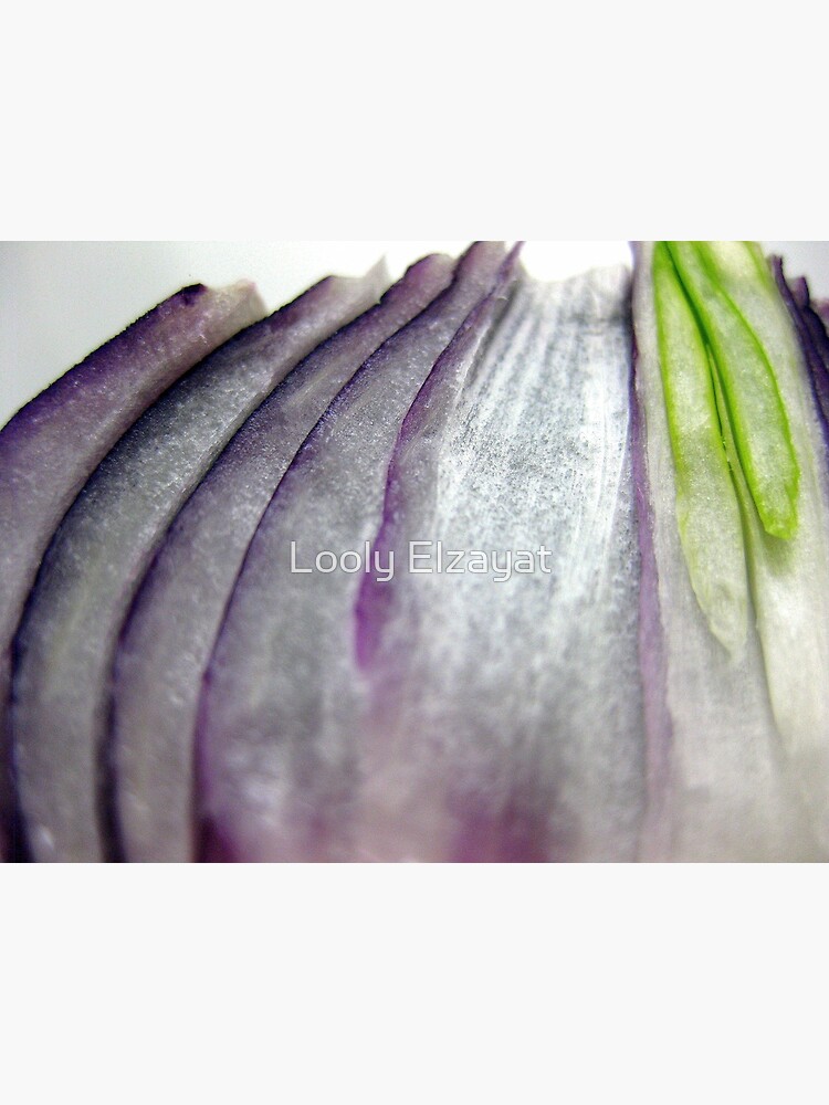 Onion by pharostores
