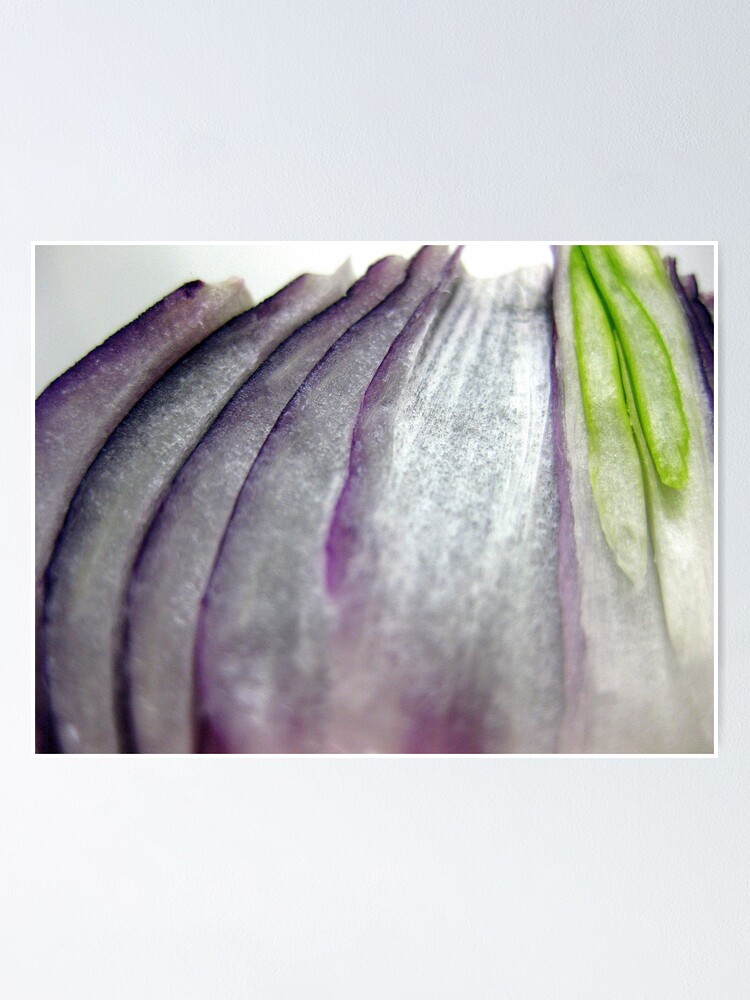 Alternate view of Onion Poster